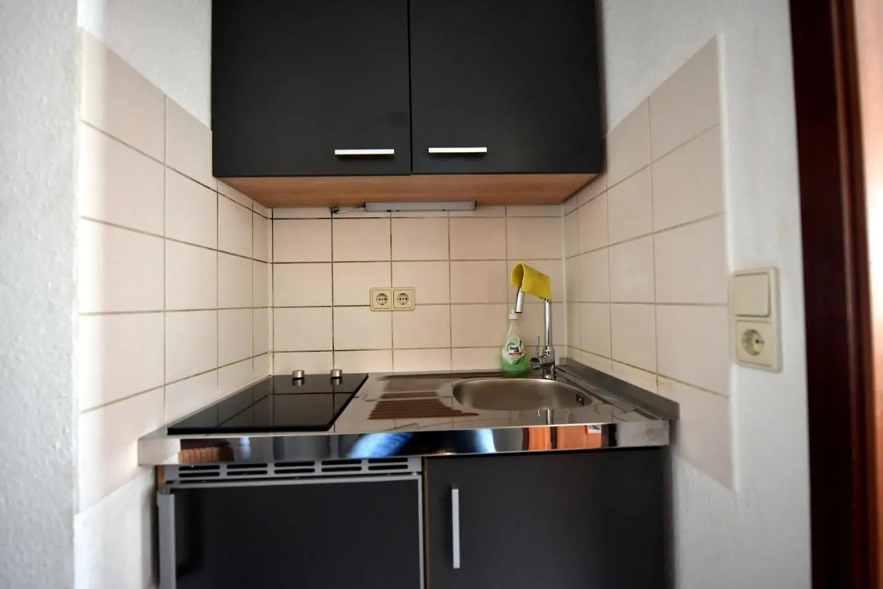 Ferienwohnung Laubegast 드레스덴 0*,  독일